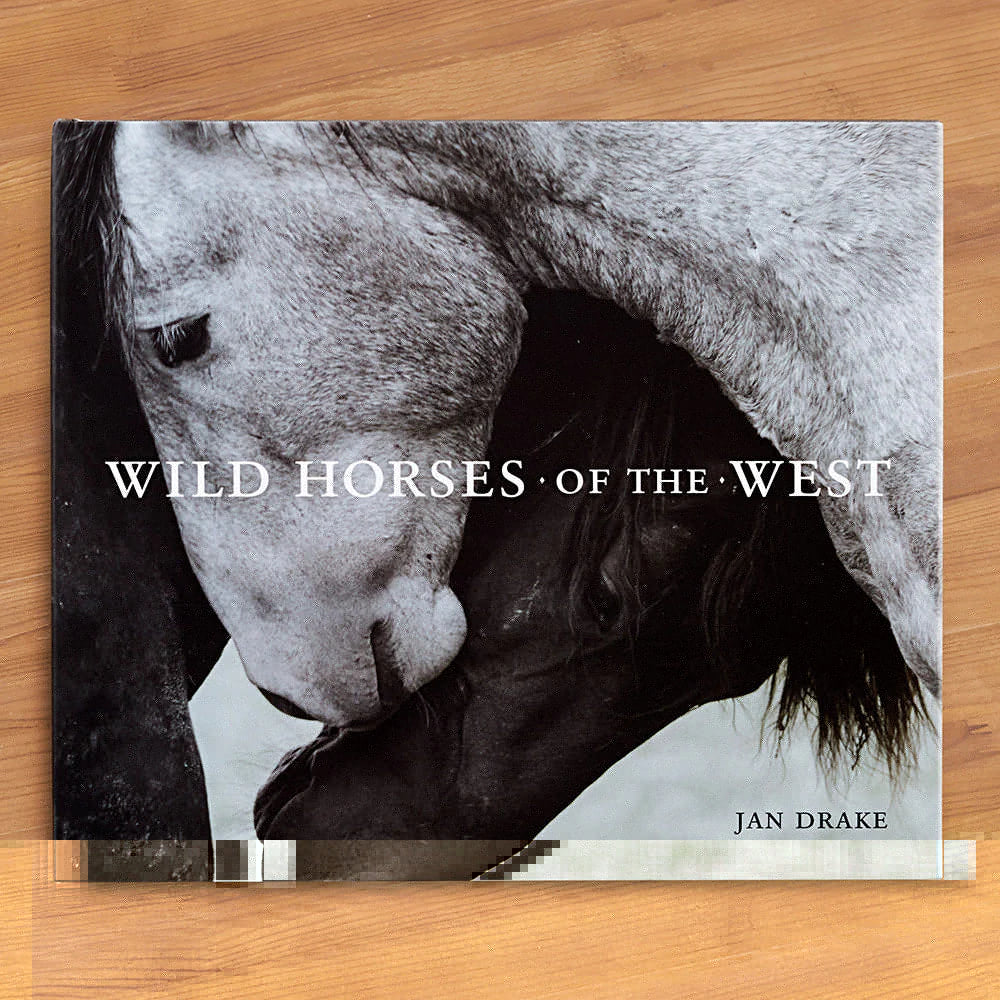 Wild Horses of The West | newcondosarlington